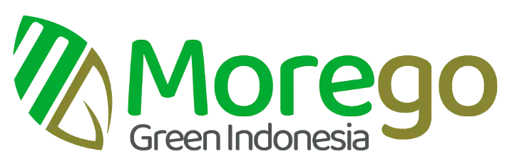 Logo Morego Transparant Color